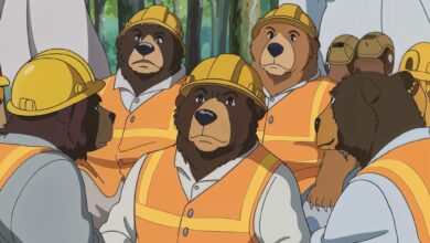 what is a group of bears called