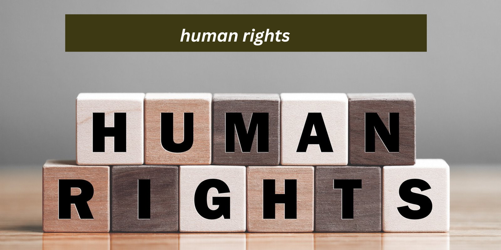 human rights